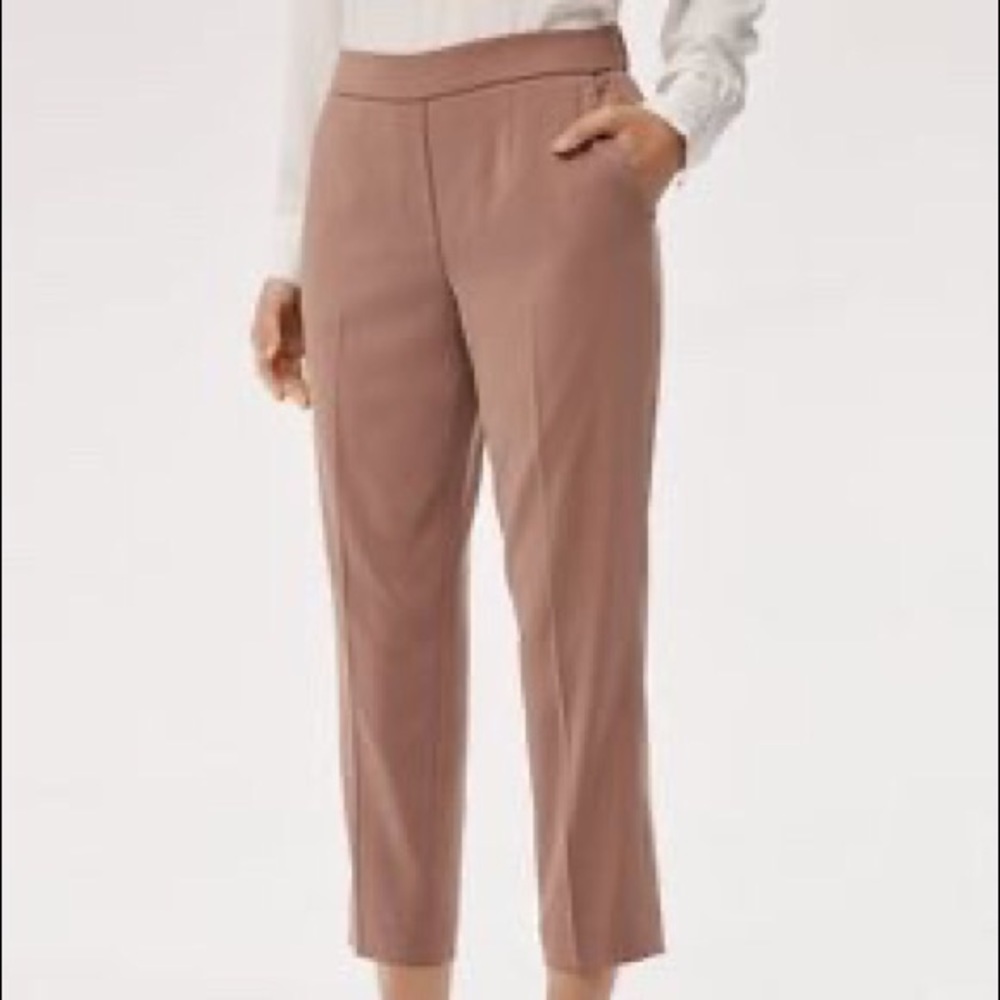 Aritizia Conan Pant